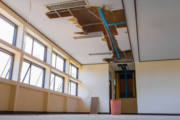 Best Water damage restoration near me  in Gleed, WA