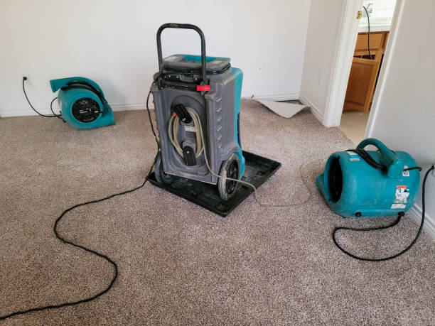Water damage restoration insurance claims in Gleed, WA