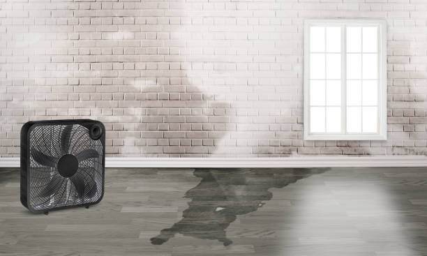 Best 24/7 water damage repair  in Gleed, WA