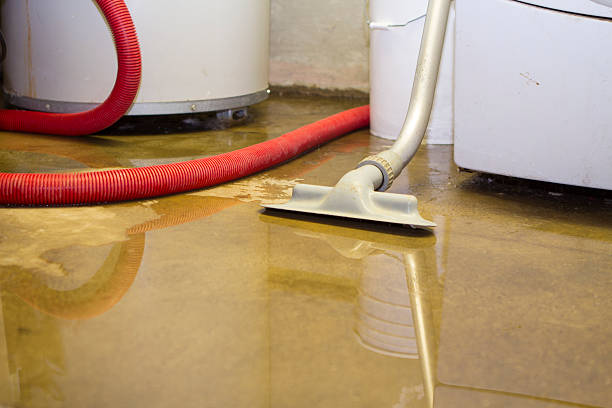 Best Flood damage cleanup  in Gleed, WA