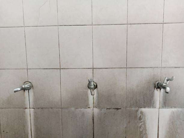 Best Water damage restoration near me  in Gleed, WA