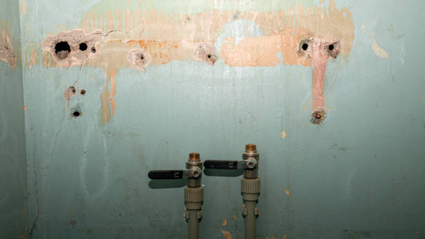 Best Flood damage cleanup  in Gleed, WA