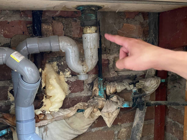 Best Sewage cleanup and water damage restoration  in Gleed, WA
