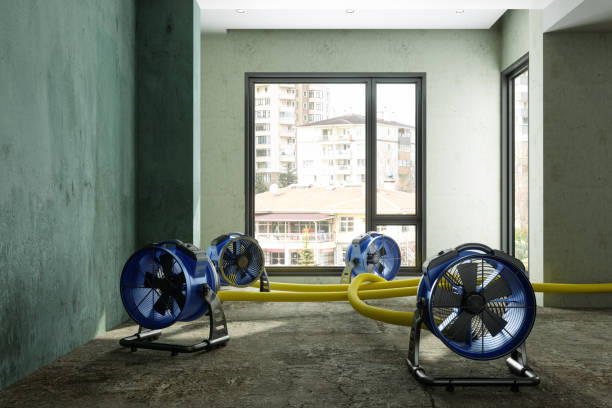 Best Water damage restoration insurance claims  in Gleed, WA
